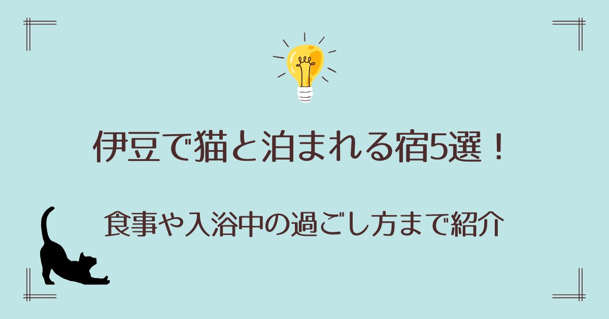 伊豆で猫と泊まれる宿5選！食事や入浴中の過ごし方まで紹介